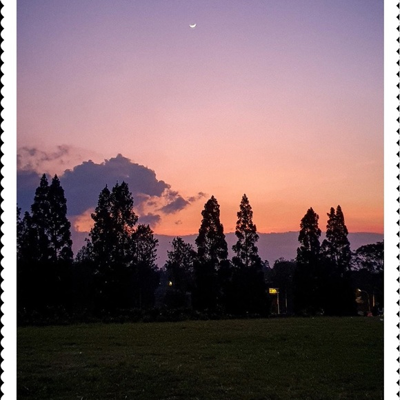 Scottish Agate Brooch VINTAGE GEM - Picture 7 of 8